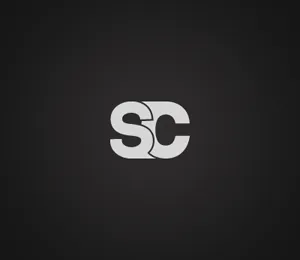 ��˾logo