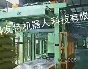 供应供应ZKYT-MDX-GH袋装箱装高低位码垛机