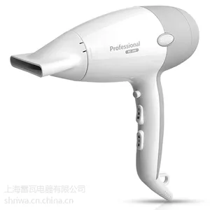 雷瓦 RC-366A 雷瓦新款专业大功率电吹风冷热风负离子吹风机静音恒温吹风筒
