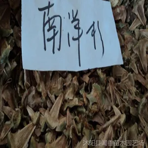 ������Ӧ����ɼ���� �������� ��ѿ***  ����ɼ���ַ���