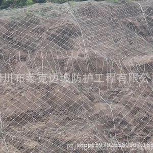 供应厂家直供 防护网 主动防护网 φ16
