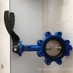 供应铸铁对夹无销蝶阀,用于管道末端
