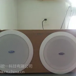 供应蓝牙吸顶天花喇叭