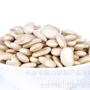 供应产地直销五谷杂粮 白芸豆 大白芸豆批发 包物流 白芸豆豆瓣酱原料