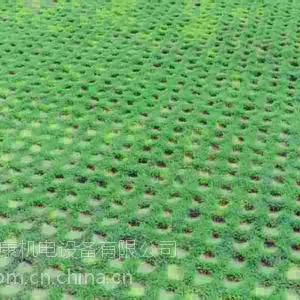 供应龙康塑料植草格
