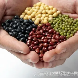 供应大连绿豆商检 大连豆子商检代理 大连绿豆报关报检 豆类商检代理