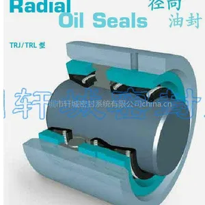 供应德国拉氏封径向油封 TRJ/TRL