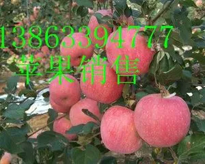 沂水县广修果蔬购销处