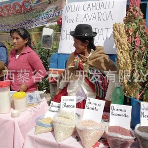 中国进口藜麦种子供应商,***国产藜麦种子 包邮