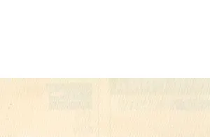 进口扭力扳手