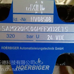 供应贺尔碧格hoerbiger电磁阀SAM220PC06PB