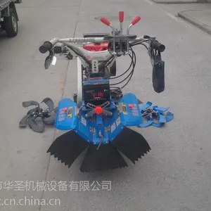 �߲˻�����ֲ���������� �ٺ���ֲ������¢��