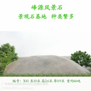 X41 景观石、园林景观石、大型景观石、景观石批发、景*观*石