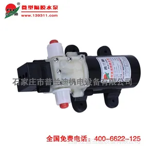 供应普兰迪PLD-2203喷雾器洗车机微型电动隔膜泵24V20W压力开关水泵