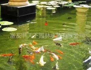 ��Ӧ�������� ������ˮ����