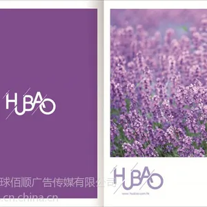 提供环球佰顺【杂志设计】全国热线:400-838-7728