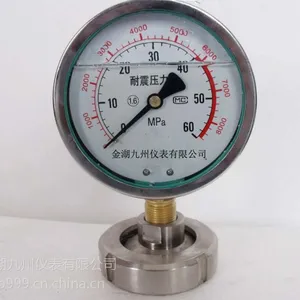 供应隔膜压力表YTF-100 OMVGAR