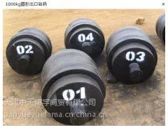 �׳�����1000kg���룬�������룬��׼����
