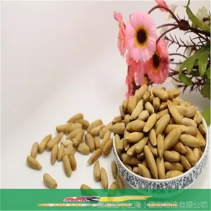 1�Ϻ���ó��ʳƷ������ع�˾|�Ϻ�ʳƷ���ڱ�����ع�˾