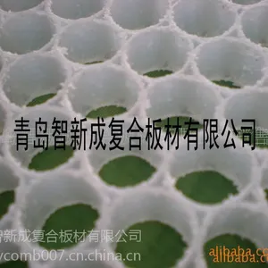 【厂家直销】塑料蜂窝网 PP12 ***过滤器滤片 通透性好 量大从优