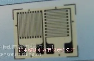 供应电阻式应变计