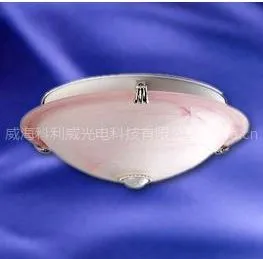 供应红外感应吸顶灯具