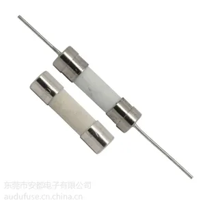 供应5*20mm T２A 陶瓷管保险丝