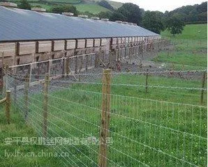 供应牧场牛栏网