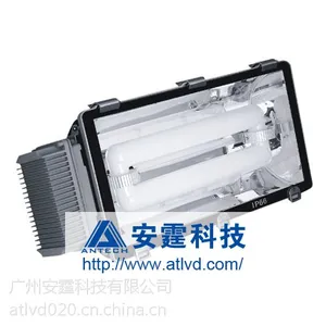 厂家供应隧道灯80-300W低频无极灯DLSD038隧道无极灯