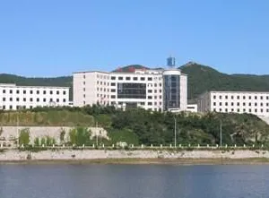大连电机集团有限公司