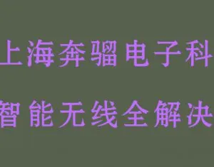 上海奔骝电子科技有限公司