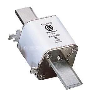 供应Bussmann 欧标方体快熔 170M1560/170M1561/170M1562/