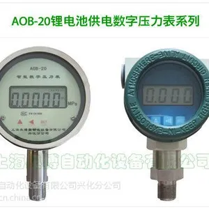供应智能数字压力表
