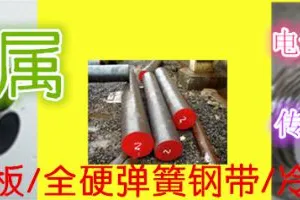 东莞市浦项金属材料有限公司