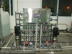 0.25吨/小时双级反渗透设备(全自动配置,节能环保)