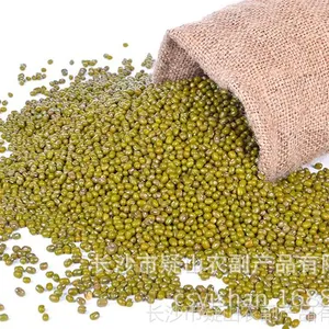 供应厂地直销东北绿豆 绿豆批发 大颗粒绿豆***批发 包运费 ***商超