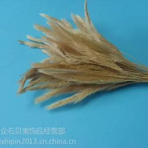 供应供应竹木干草 厂家 干草 兔尾草 ***植物干草 狗尾巴草 干花