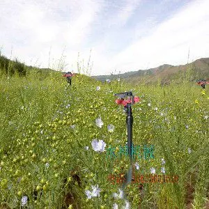 供应张家口喷灌设备、大田喷灌、农业喷灌【水神机械,厂价直销】