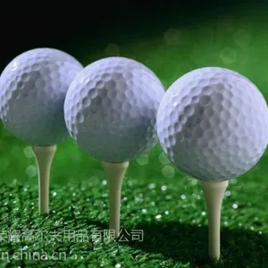 高尔夫 高尔夫球 高尔夫练习球 高尔夫比赛球