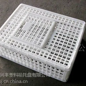 供应温州塑料成鸡笼|江苏全新料运鸡笼|上海塑料方形鸡笼