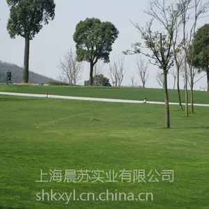 上海晨苏打造园林公司庭院设计 合理施工工艺