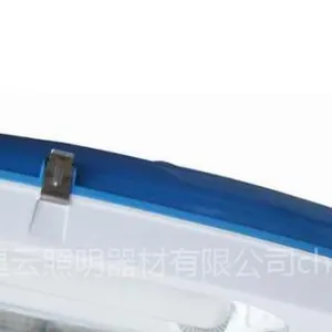 LVD无极灯路灯