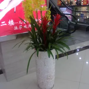 供应绿植租摆/展会鲜花布置/展会绿植租赁-合肥清新园花卉