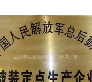 山东省奥绒服装有限公司