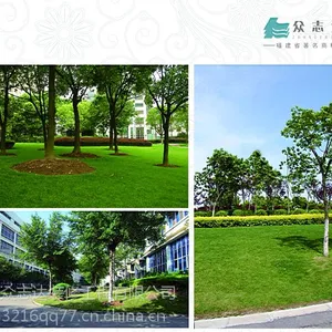 供应承接城市园林绿化工程承包
