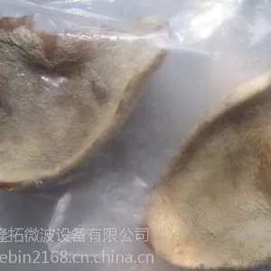 ΢��ɱ���豸��������е|΢���豸��װά��
