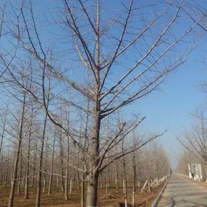 ��Ӧ������
