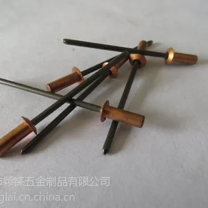 供应铜盲孔抽芯铆钉，铜盲孔防水铆钉，盲孔铜铆钉4*12