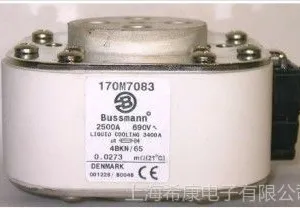 供应美国Bussmann熔断器170M6969
