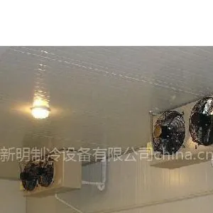 ��� �����䶳�� ���Ᵽ�ʿ� ˮ����ؿ�